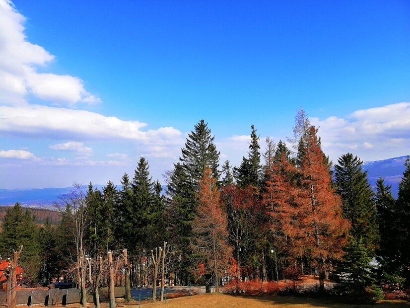 Aspen, Colorado, USA